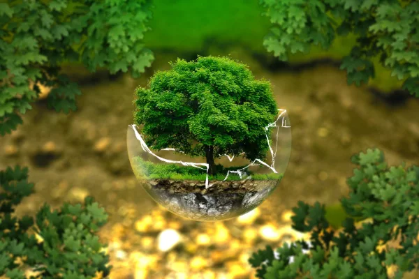 O que é o marketing verde?