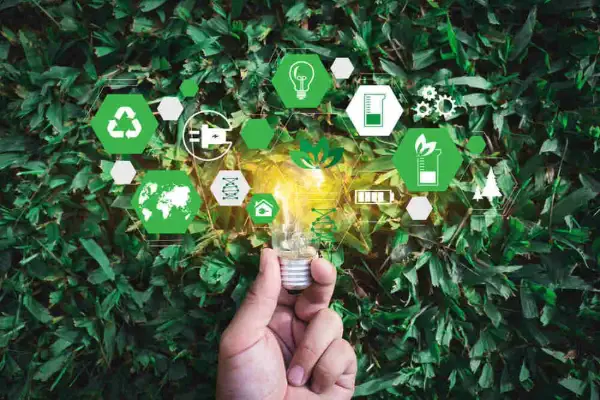 Por que o marketing verde é importante?
