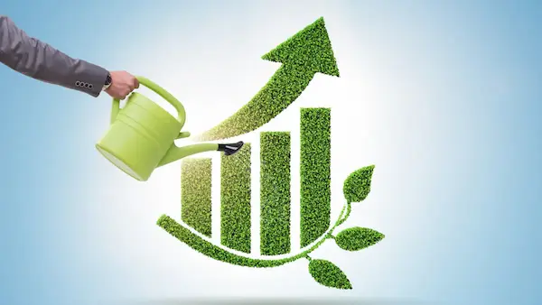 A importância das práticas sustentáveis para a competitividade empresarial