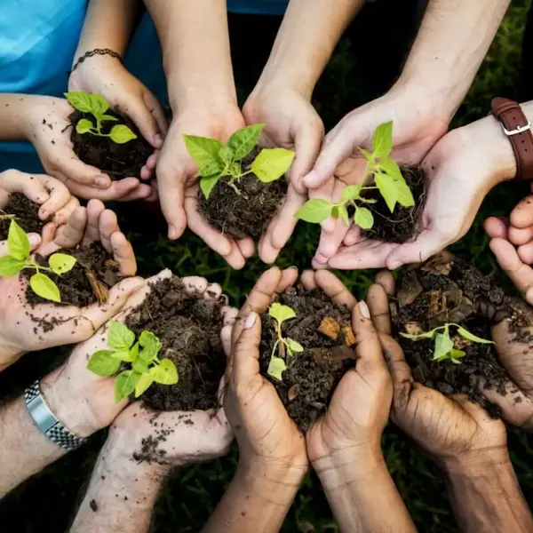 Ações simples para contribuir com a preservação ambiental no dia a dia