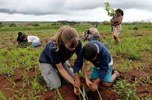 Educação ambiental como base da mudança