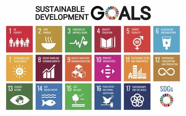 Indicadores e métricas para avaliar práticas sustentáveis