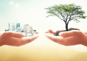 Práticas sustentáveis para empresas