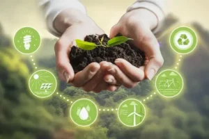 Preservação ambiental: ações essenciais